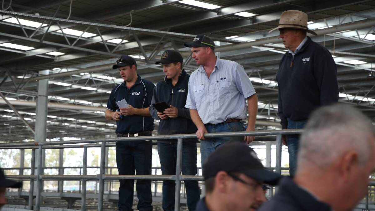 YARDING: Auctioneers addressing the buyers scrum at the livestock exchange. Picture: ALEX DALZIEL