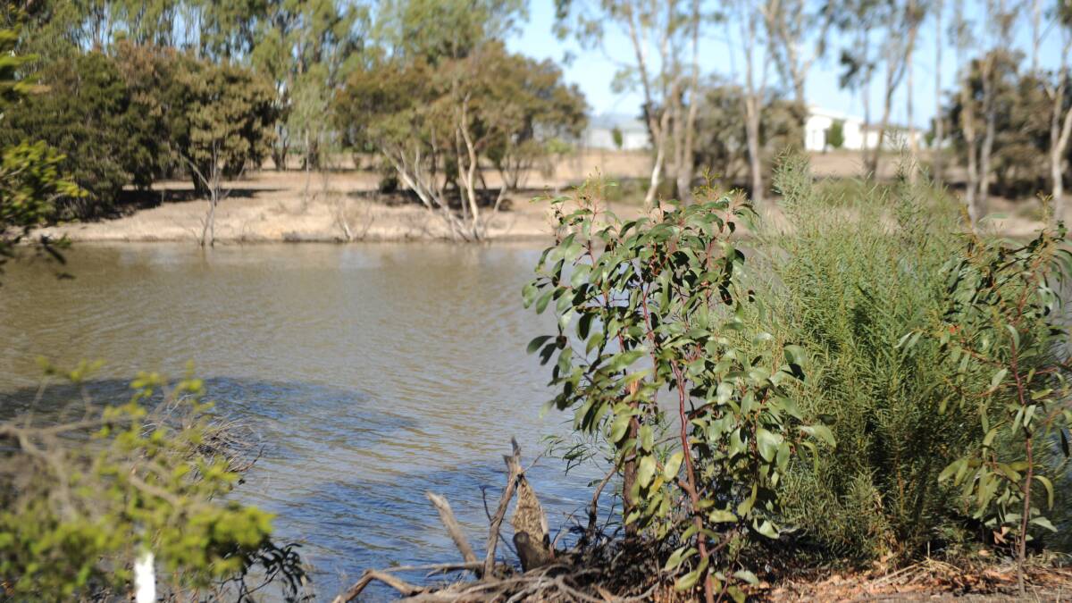 TAKE ME TO THE RIVER: The view of the Wimmera River from Hamilton Street. Picture: ALEX DALZIEL