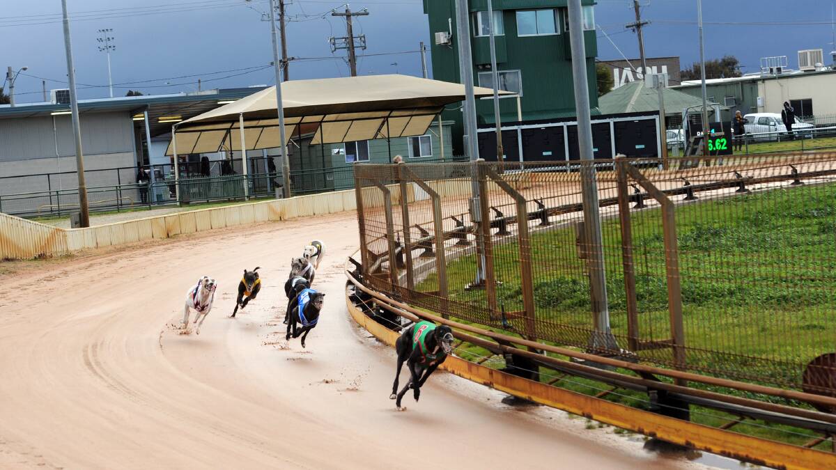 PUSHED BACK: Horsham's Tuesday night greyhound meeting is expected to start and finish later. Picture: FILE