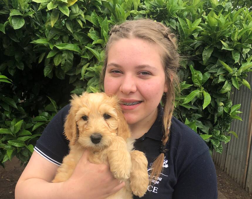 POOCH PERFECT: 2022 Murtoa College captain, Georgia Zolj, cuddles Rosie during their first meeting. Picture: CONTRIBUTED