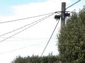 UPGRADE: Wimmera residents may see a flurry of activity as powerpoles across the region are replaced. Picture: FILE