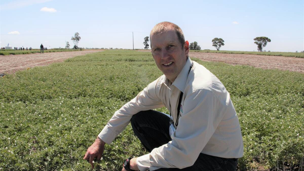 GROWTH AREA: Dr Jason Brand during the 2019 Pulse Field Days event at the Horsham SmartFarm. Picture: CONTRBUTED 