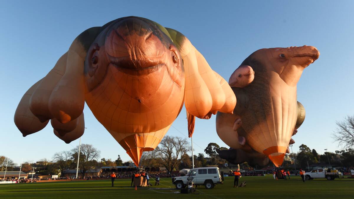 Skywhale and Skywhalepapa at the Eastern Oval in Ballarat in front of thousands of onlookers. Picture: Lachlan Bence