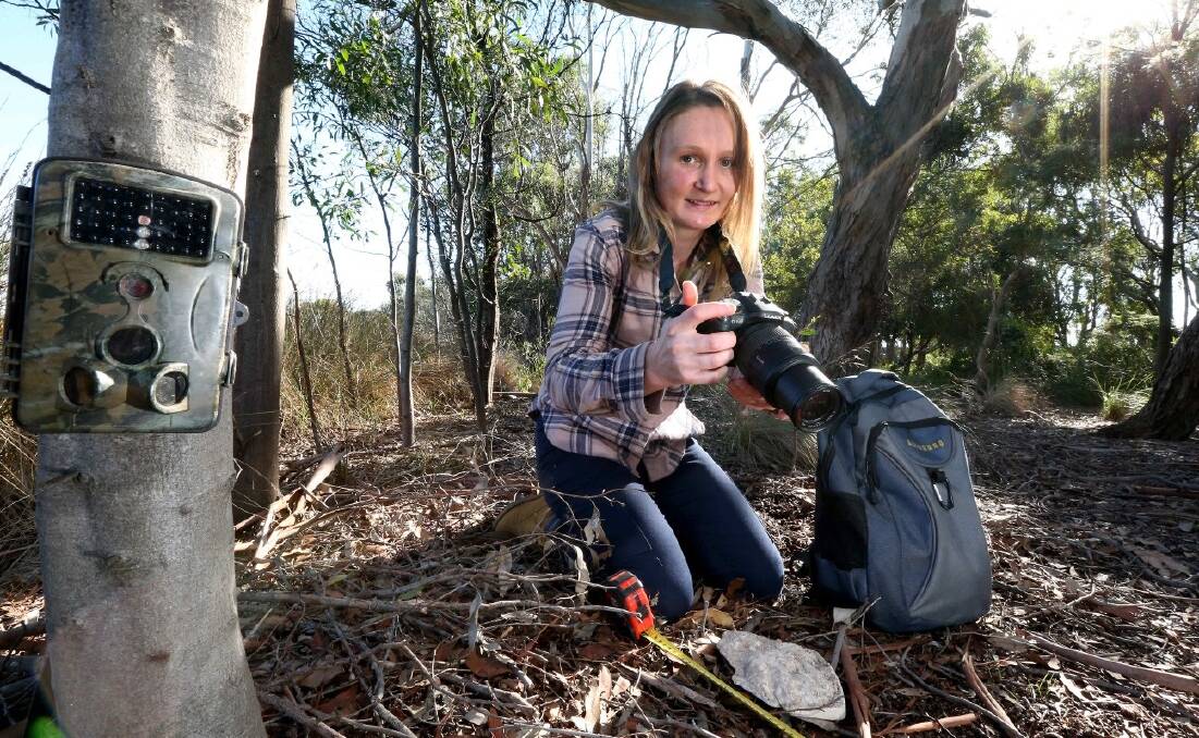 RESEARCH: Sarah Alsop hard at work in the Otways. Picture: CONTRIBUTED, Glenn Ferguson, Geelong Advertiser.
