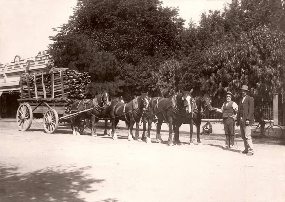 FAMILY AFFAIR: John T Hardingham, senior and junior, known as Tom c 1912 with a wagon load of wood pulled by a horse team at the north end of Firebrace Street in front of the Lowestoft garden. Picture: HHS 000880
