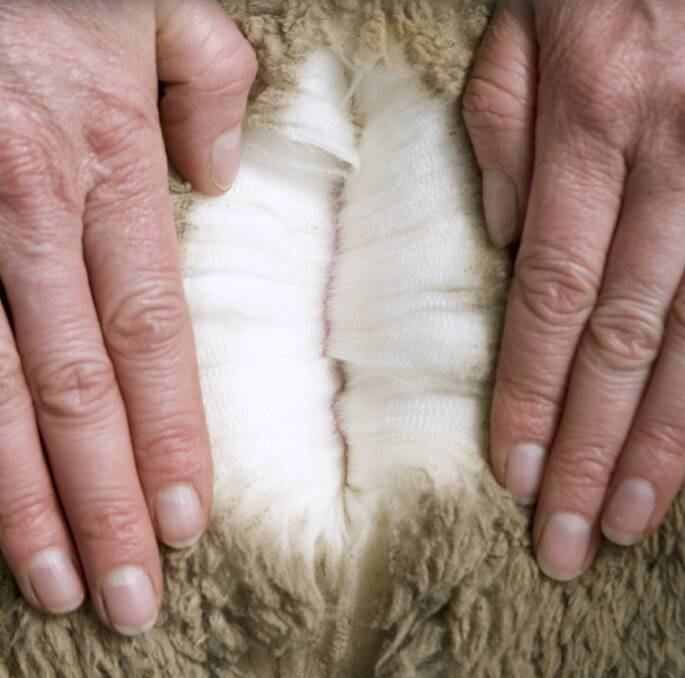 GOLDEN FLEECE: The Responsible Wool Standard (RWS) is connecting wool producers with fashion houses and generating premium prices.