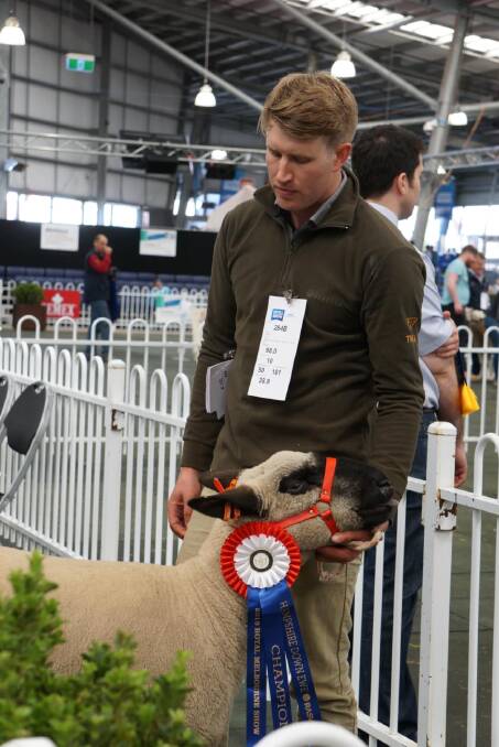 Matt Hill with his champion ewe.