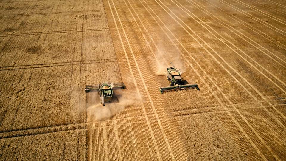 VIEW FROM ABOVE: Crops being harvest at Alwyn Dyer's farm at Kaniva last month. Picture: COLIN DYER