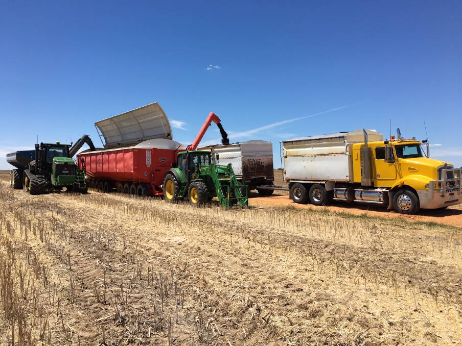 GOOD GRAIN: Harvest was underway at Telopea Down earlier this month. Picture: CONTRIBUTED