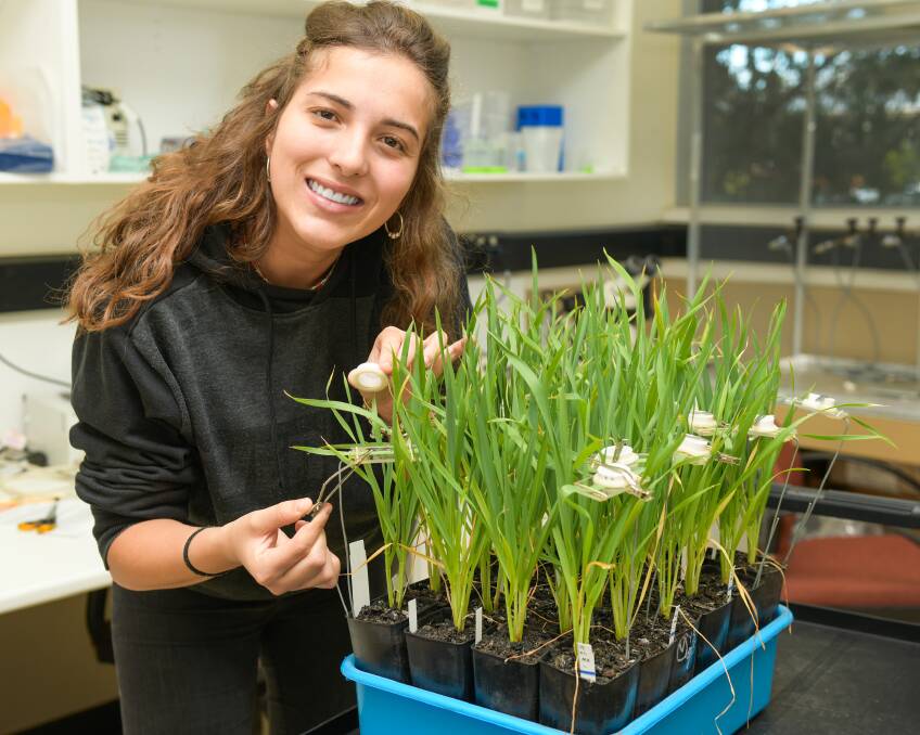 Masters student Eva Carreras Navarro, from Spain, has enjoyed a stint in Horsham researching increasing CO2 levels and will return to work in the Wimmera city in November.