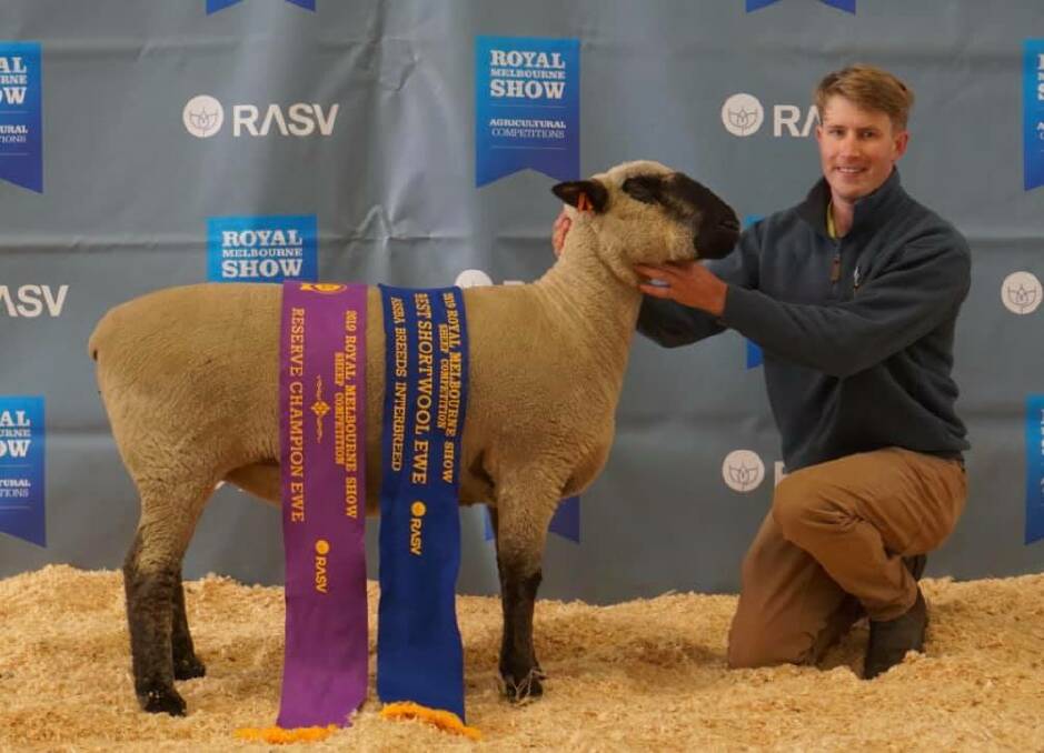 Aurora Park and Burrandool Studs owner Matt Hill with his reserve interbreed ewe of show.