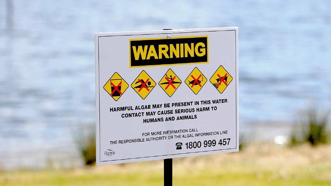 DANGER: Agriculture Victoria has warned farmers to check dam water for blue-green algae, as it can poison livestock. 