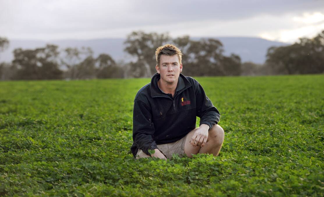 IN THE FIELD: Ledcourt farmer George Howard in a crop of clover, which he grows for feed. 