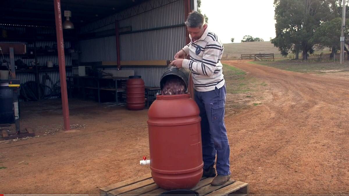Balmoral farmer uses carp as organic fertiliser