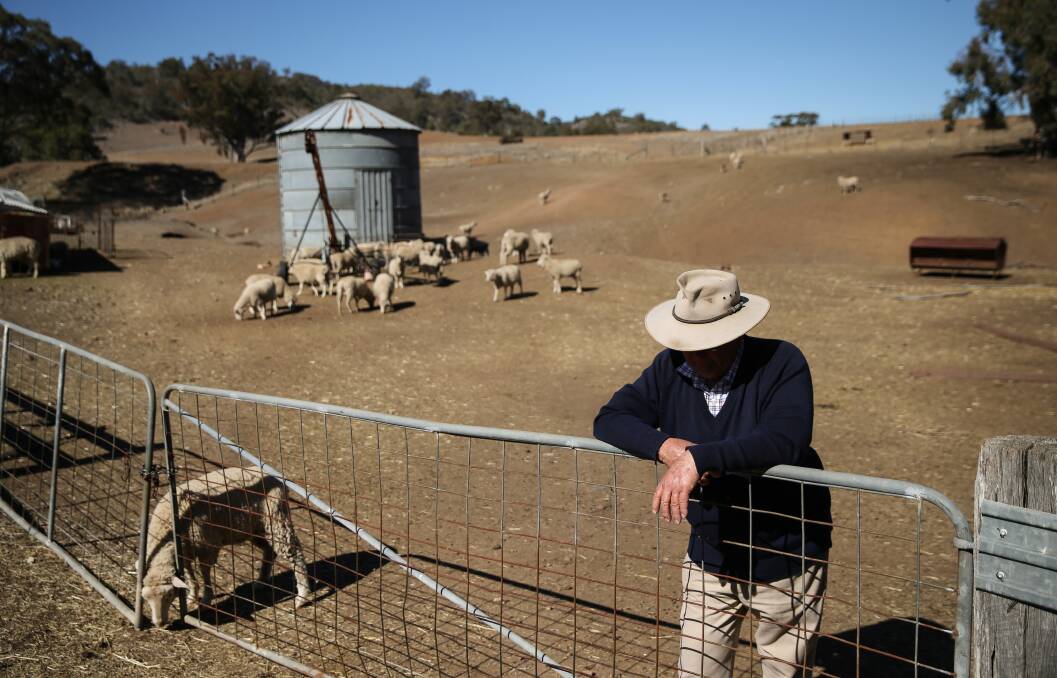RESILENCE: The fund will deliver $100 million every year for drought resilience programs. Photo: Marina Neil