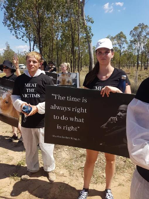 Photo posted to Facebook by the Animal Activist Collective after they entered a southern Queensland feedlot earlier this year.