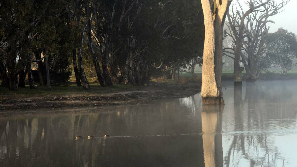 The Wimmera River could be your peaceful getaway close to home.