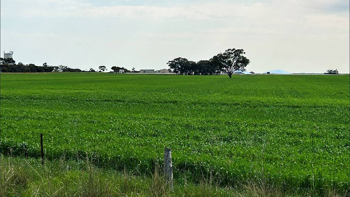Long-held Wimmera cropping country still looking for a buyer