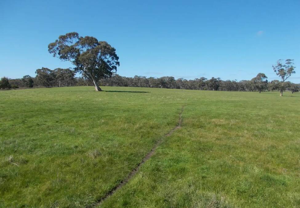 Versatile Wimmera farmland near the SA border sold much better than expected. Pictures: Ray White.