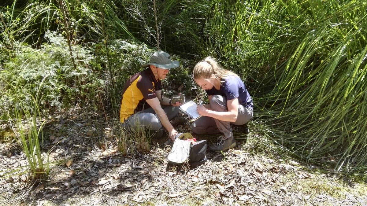 Professor Brook researching in the field with Dr Jessie Buettel. Picture: Supplied