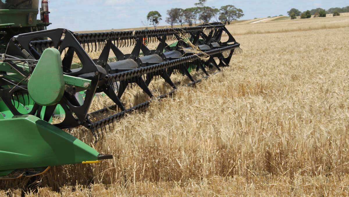 Grain growers in Victoria, southern NSW and South Australia have been ripping into crops over the past week with many reporting a pleasant surprise in terms of yield.