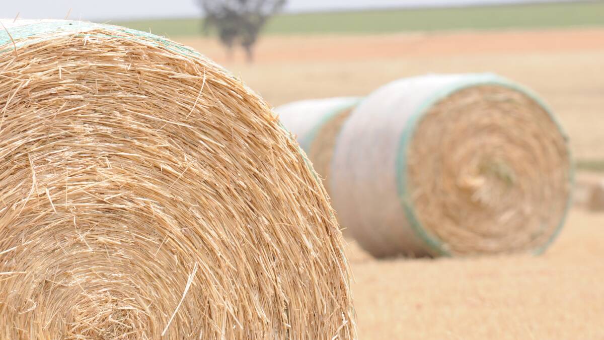 IN DEMAND: Hay is moving from Victoria and South Australia to northern New South Wales and Queensland at present with buyers incurring huge freight costs.