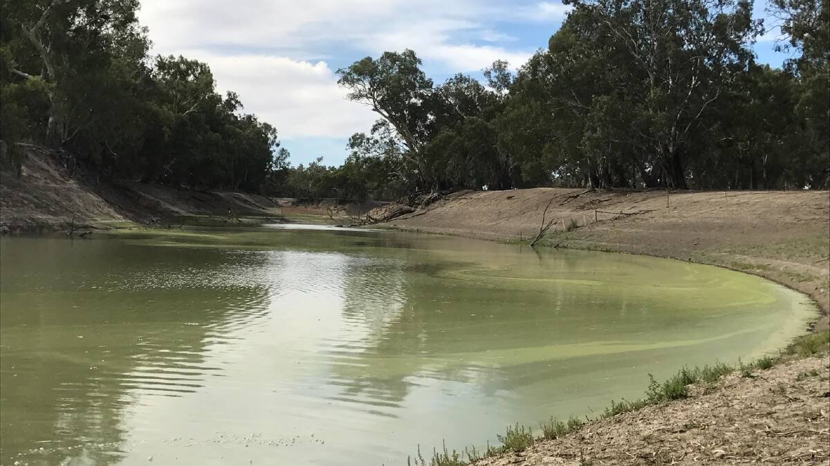 POOR HEALTH: The Lower Darling has struggled with low inflows in recent years. Photo: Katharine McBride.