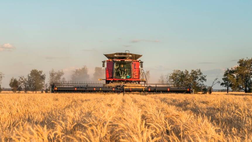 Australia's barley industry would suffer a massive blow if China goes ahead with anti-dumping tariffs of 73.6pc on imports of Australian barley.