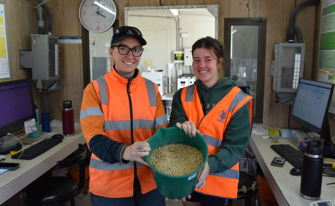 Eadie Garth-Lindsay, Murtoa and Ruby Bardell, Horsham, have been working in the sample stand at GrainCorp Murtoa this summer. Photos by Gregor Heard.