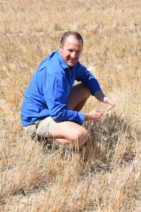 Lockie Wilson says fairy grass is gathering in between stubble rows and will cause issues at sowing time.