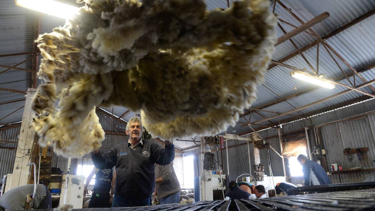 Moses and Son wool technical officer John Wiencke, Temora, throwing fleece with shearing the first cross ewes underway for Glen and Chris Hartwig, Cambrai Farming, "Oakbank", Trundley Hall via Temora. Picture: RACHAEL WEBB
