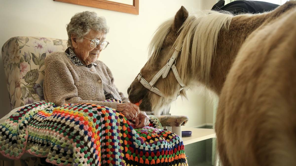 Young at heart: Doris Jones, 96, gets a visit from Lucy the pony at Whiddon aged care home in Redhead on Friday. Picture: Marina Neil

