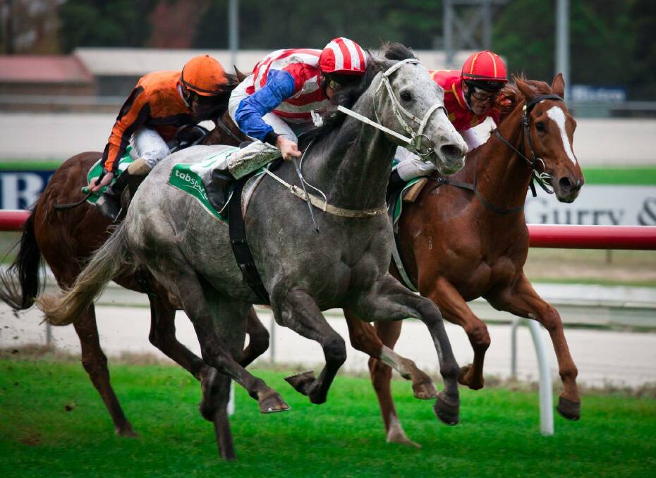 Melbourne Cup day decoded: How to pick a winner