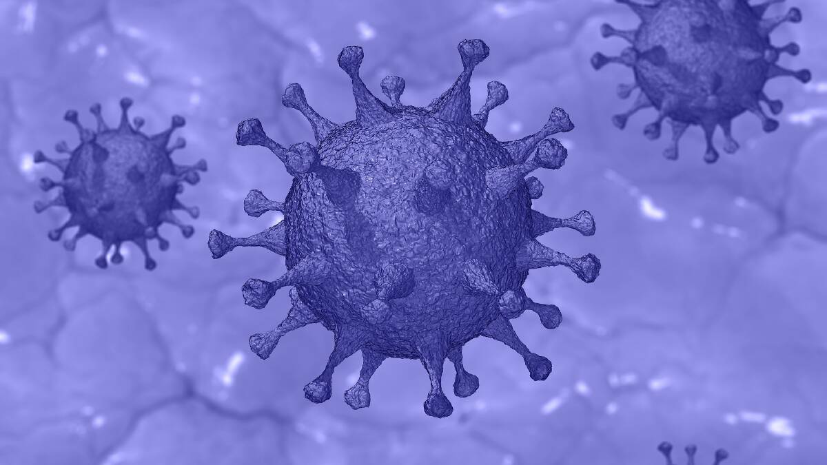 Wimmera COVID-19 free, Kilmore outbreak at five | Coronavirus
