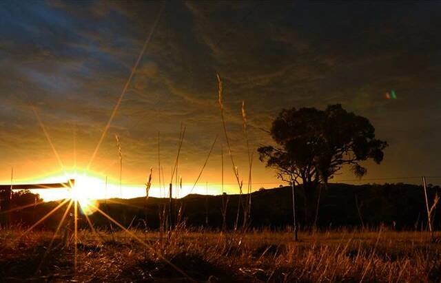 Australian Bureau of Meteorology predicts a dry spring