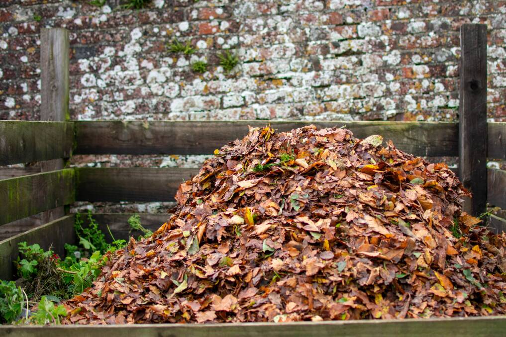 LEAFMOULD: Simply pile the leaves together and forget about them for a year or so.