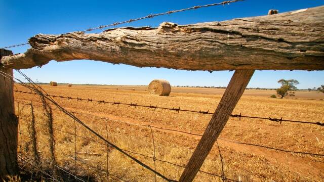 Southern Mallee farmland smashes expectations at auction