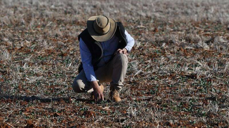Drought fund committee calls for Wimmera farmer feedback