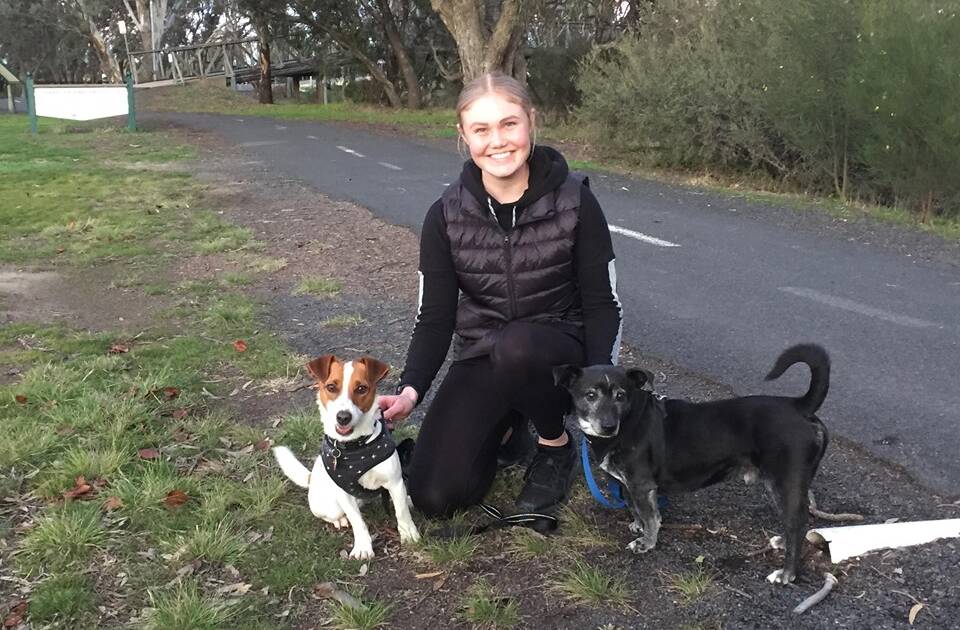 RUSSELL-ING UP SOME FUN: Emily Craig with Jack Russell Neville and Spike, who is adopted. Picture: ALEXANDER DARLING