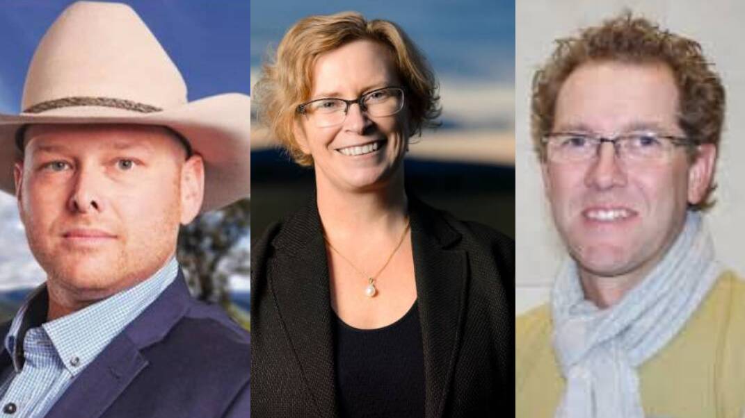 Dan Straub, Nicole Rowan and Chris Lahy all contested Mallee for minor parties at the 2019 Federal Election.