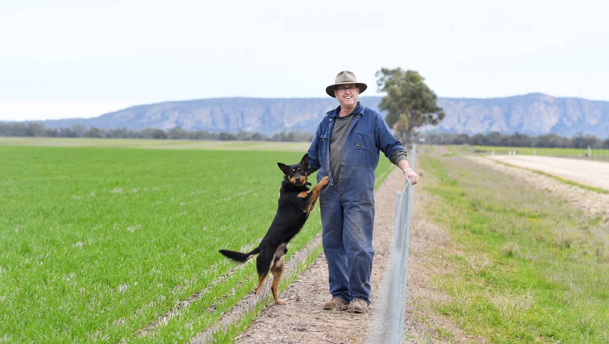 GRATEFUL: Natimuk farmer Michael Sudholz is thankful for the rain he has received in 2019, aware other regions of Victoria are experiencing serious drought conditions. Picture: SAMANTHA CAMARRI