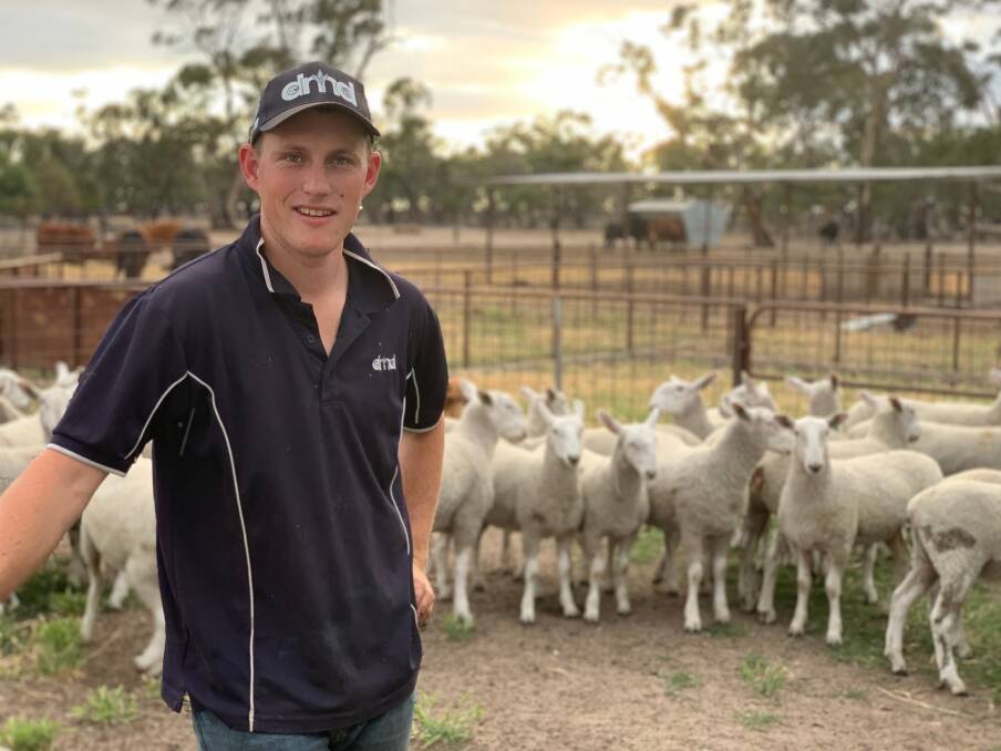 SCHILLING'S WORTH: Wimmera stock agent Will Schilling has won prizes at the Bendigo Sheep Show and Royal Adelaide Royal Show this year. Picture: CONTRIBUTED