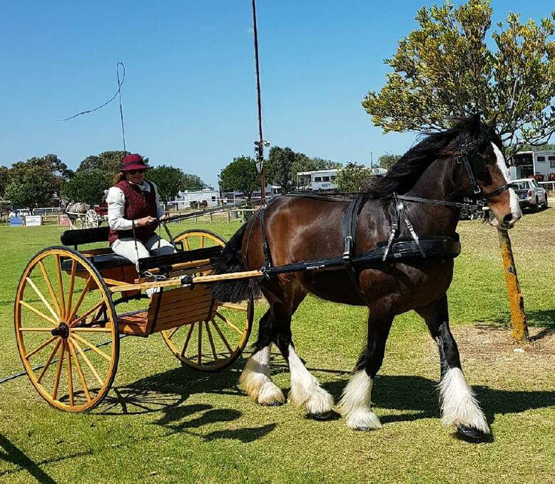 GIDDY UP: Susan McQuade, who is travelling from Cleve in South Australia with her draught horse. Both will be in Edenhope this weekend for a new festival . Picture: CONTRIBUTED.