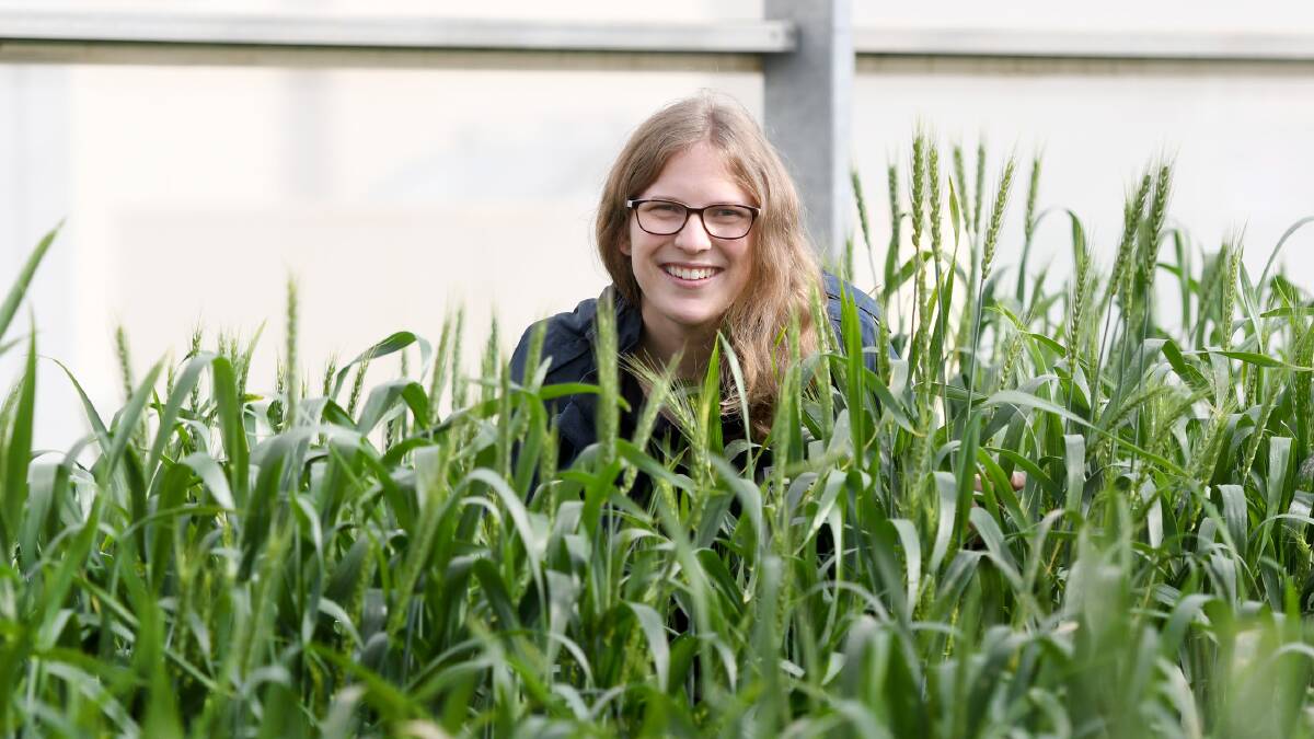 FRESH FACE: Cereal Pathologist Julia Bouckley came from Melbourne to work at Baden Aniline and Soda Factory in Longerenong in May. Picture: SAMANTHA CAMARRI
