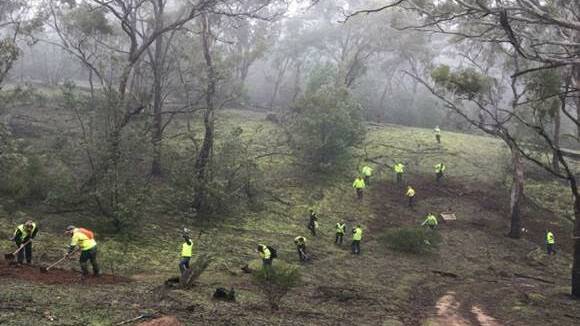 RANGE ROVERS: Parks Victoria staff working to close down the illegal mountain bike trail. Picture: CONTRIBUTED