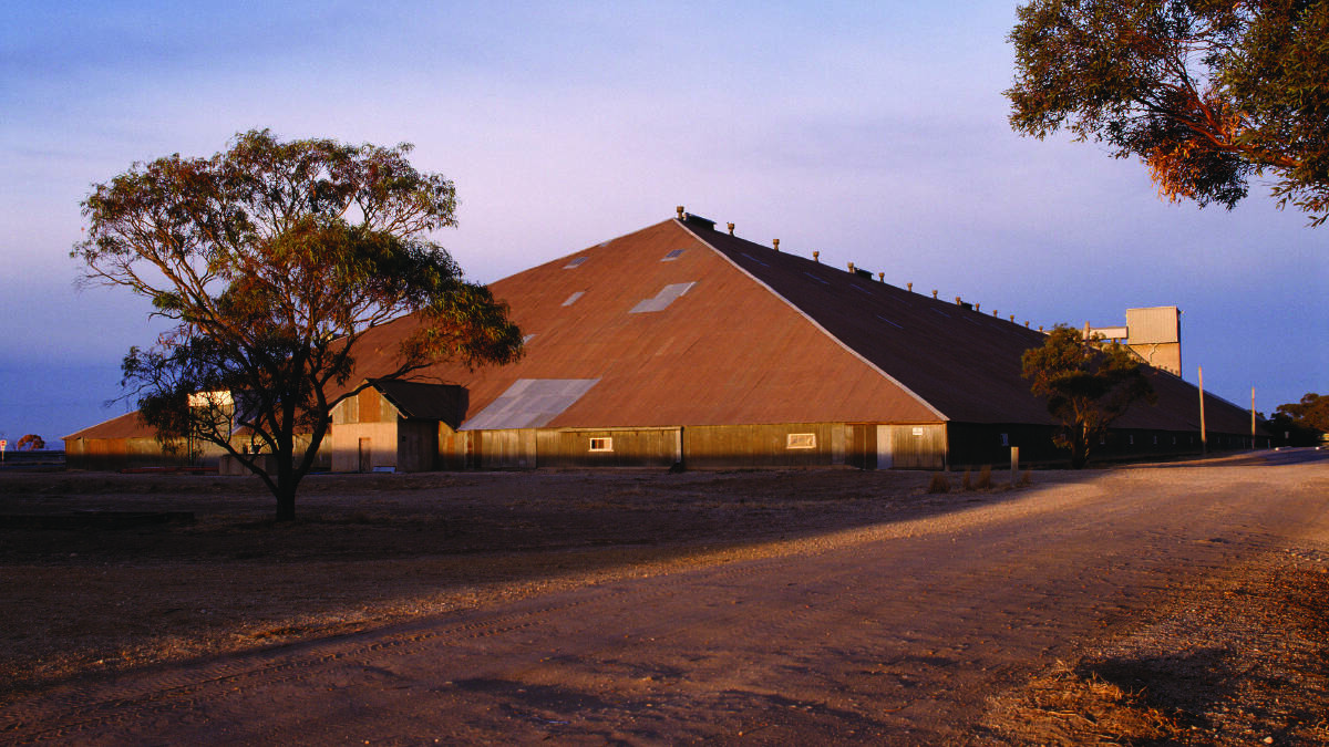 HOLY SHED: The Murtoa Stick Shed Committee of Management used the Local History Grant to launch their website. Picture: CONTRIBUTED.