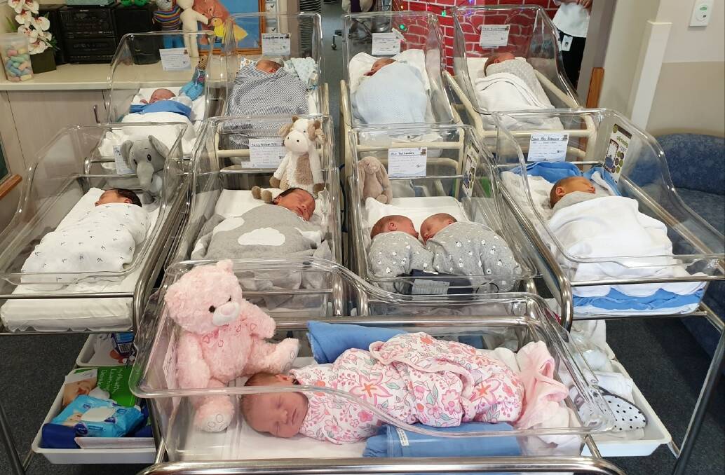 The baby brood at Horsham's Yandilla ward. Picture: CONTRIBUTED