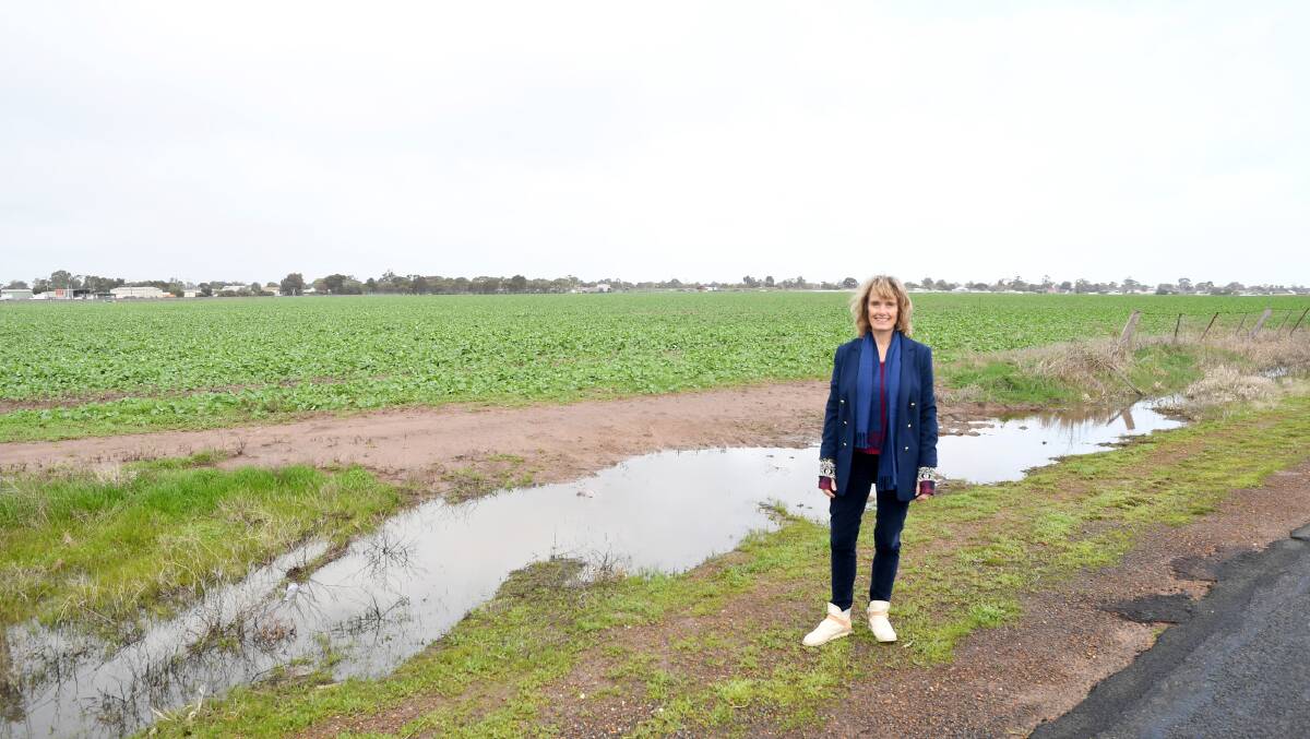 POWER PLAY: Energy Democracy's Jane Lawrence at the Horsham site where the organisation has plans to build a new communal solar farm. Picture: SAMANTHA CAMARRI