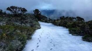 DUSTING: Will Hudson, Livefast Cafe owner at Halls Gap, took this photo at Mount William when snow fell in May.