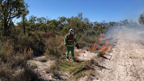 PREPARATION: A Forest Fire Management Victoria worker burning off scrub in Little Desert National Park earlier this week. Picture: CONTRIBUTED